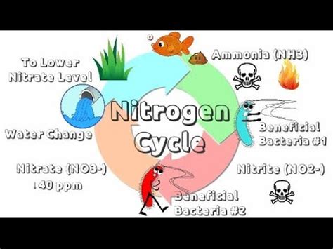 nitrogen in tagalog|nitrogen in Tagalog .